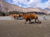 INDIA Ladakh moto tour - 37